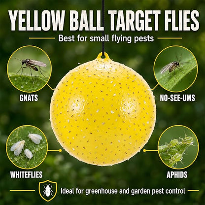 Gnat Fly Ball Trap