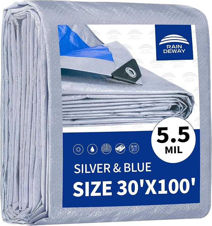 Silver/Blue