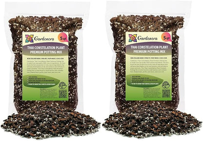Thai Consteallation Monstera Soil Blend
