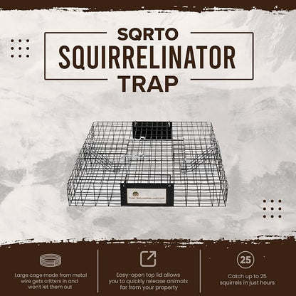 Squirrel