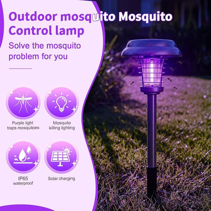 Purple & Colored Light