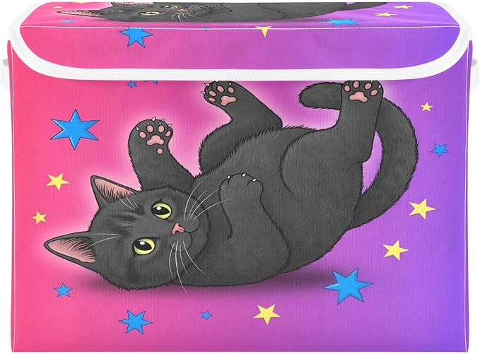 Starry Black Cat