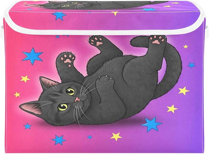 Starry Black Cat