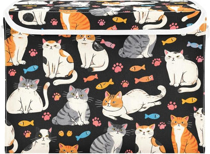 Black Orange Cat