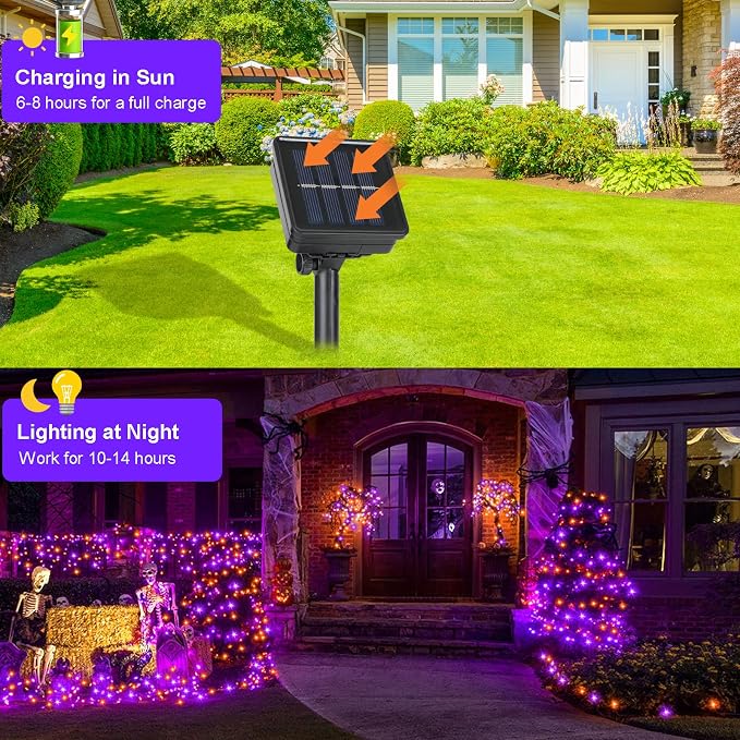 Orange & Purple