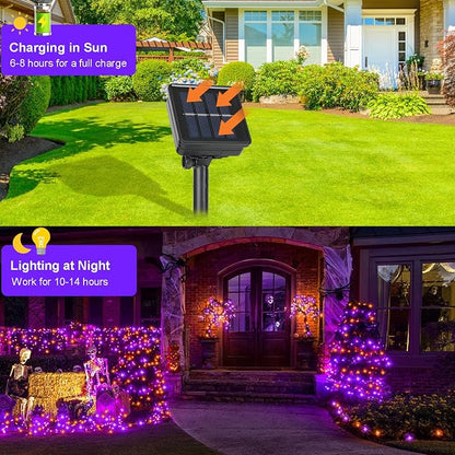Orange & Purple