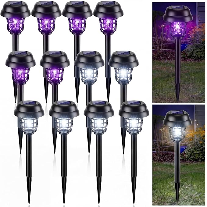 Purple and White Light, Black
