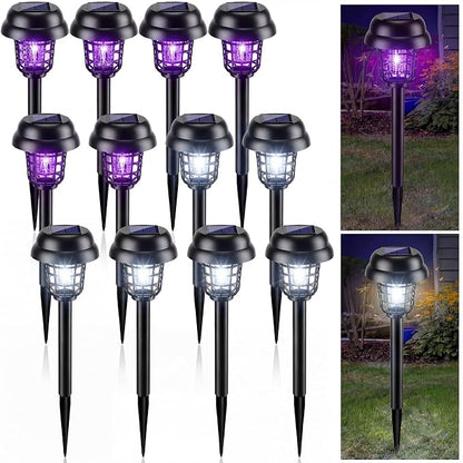 Purple and White Light, Black