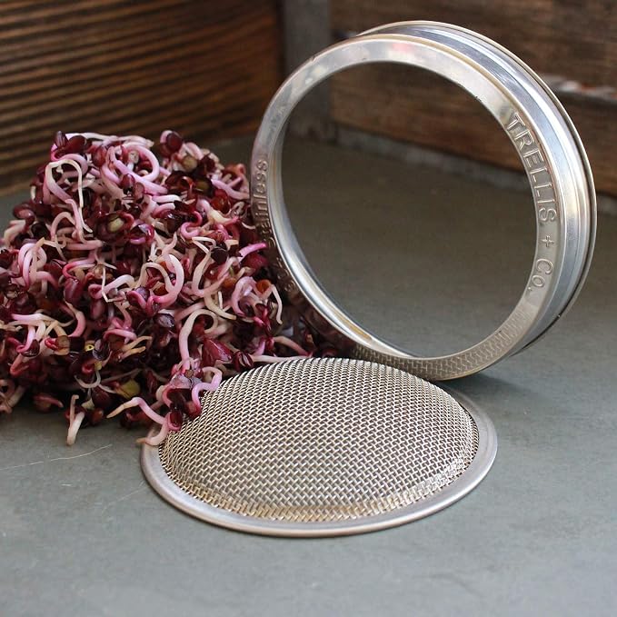 Sprouting Lids + Stands