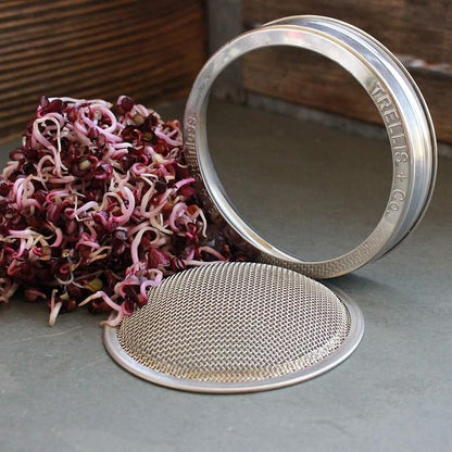 Sprouting Lids + Stands
