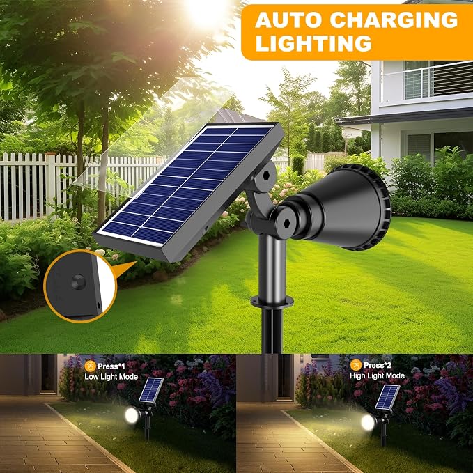 Warm White