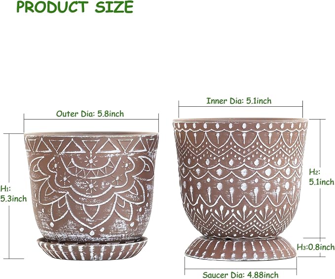 Brown-c