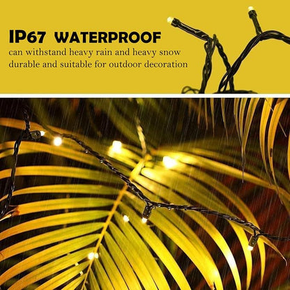 800LED Warm White