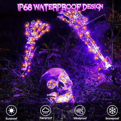 Orange & Purple