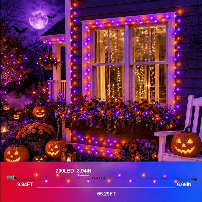 Red White Blue & Purple Orange