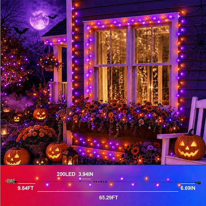Red White Blue & Purple Orange