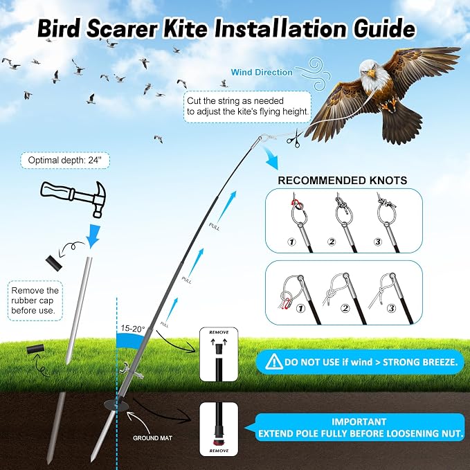 eagle kite with 4m pole