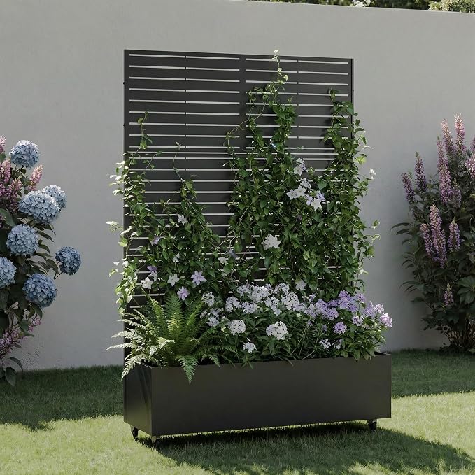 Black-louvered