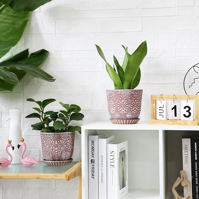 Clay+white