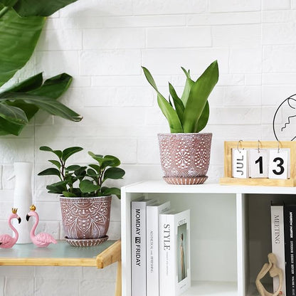 Clay+white