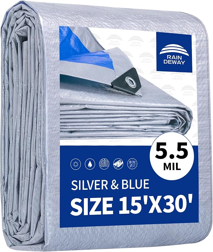 Silver/Blue