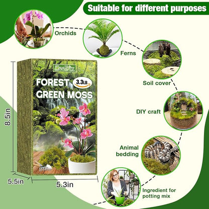 __DEFAULT__