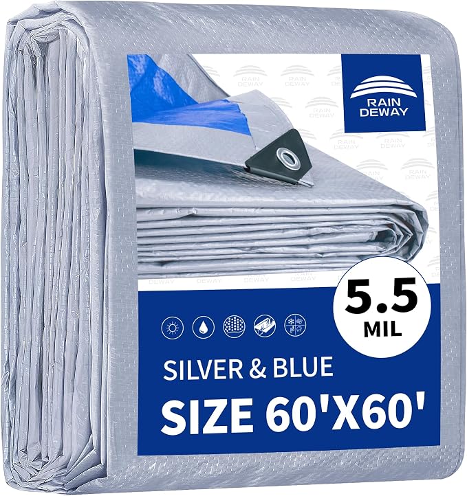 Silver/Blue
