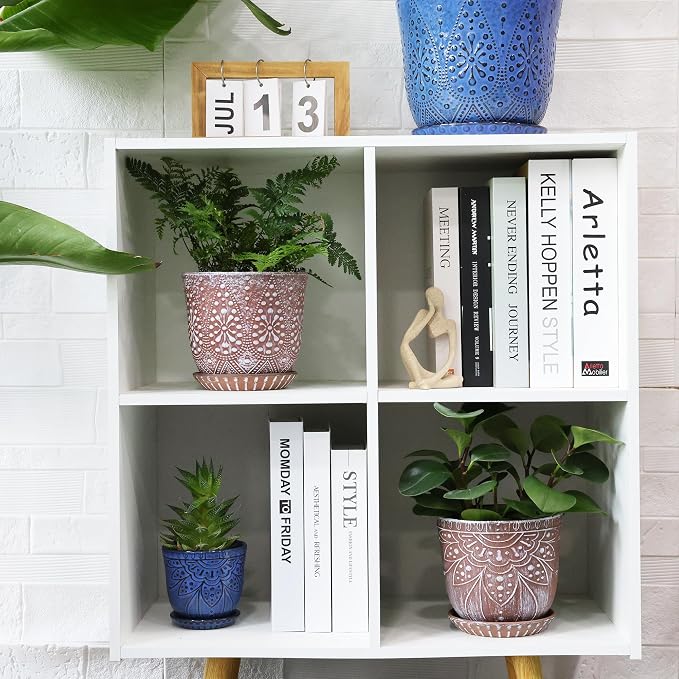 Clay+white