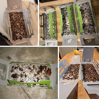 roachtrap-15 pack