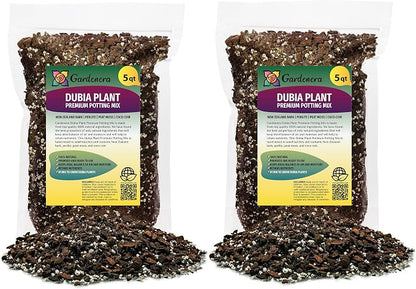 Monstera Dubia Soil Mix