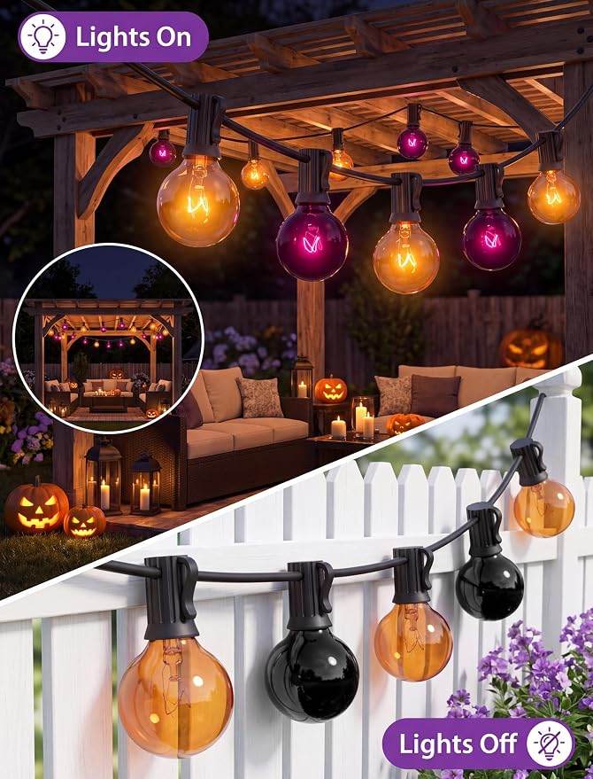 Clear Orange Purple-Black
