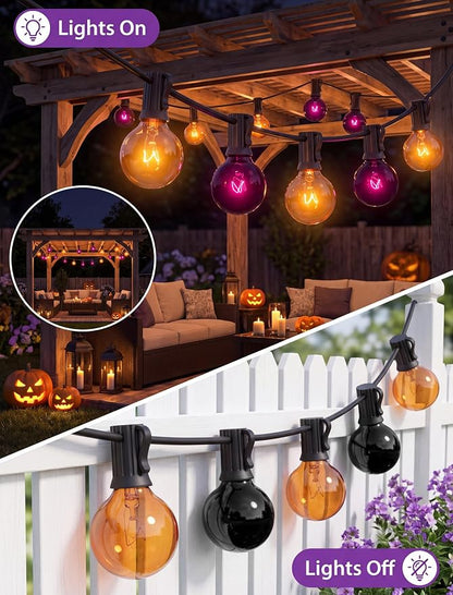 Clear Orange Purple-Black