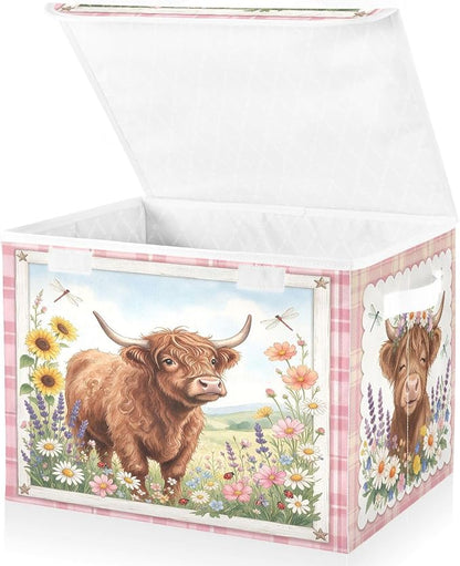 Highland Cattle