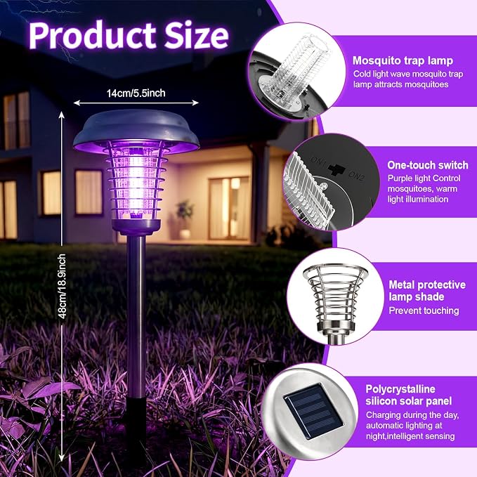 Purple & Colored Light