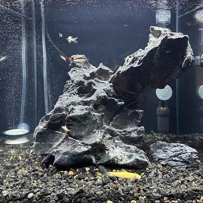 Black Lava Rocks