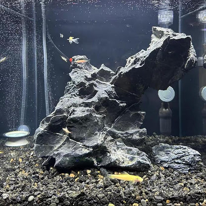 Black Lava Rocks