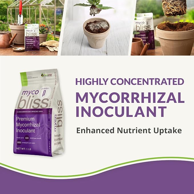 Coco Coir Bundle