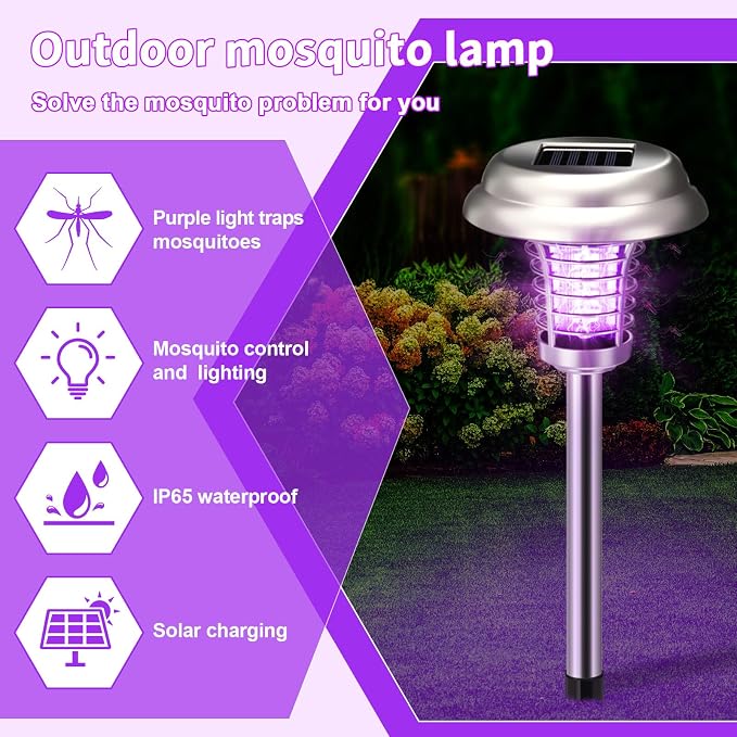 Purple & Colorful Light