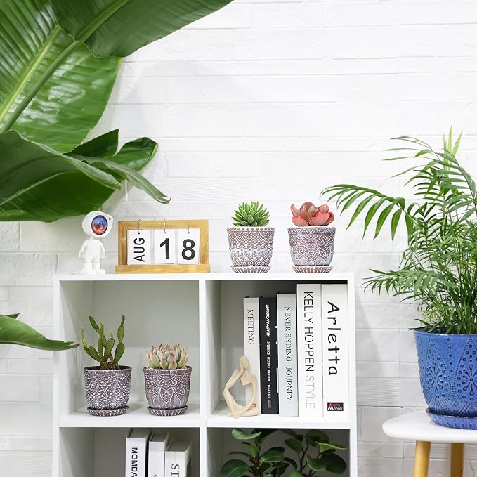 Clay+white