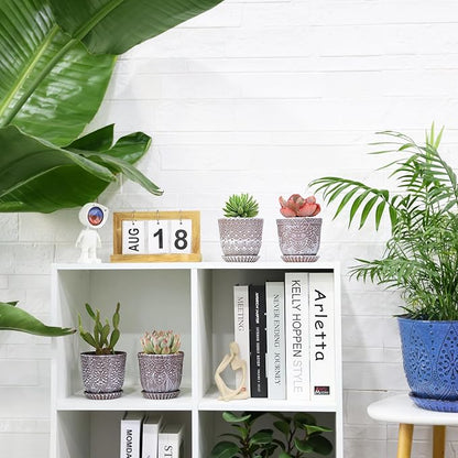 Clay+white
