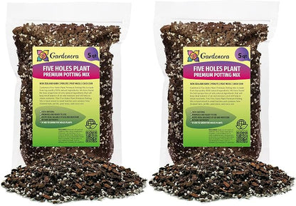 Five Holes Monstera Soil Mix