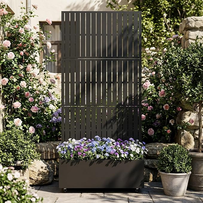 Black-fence