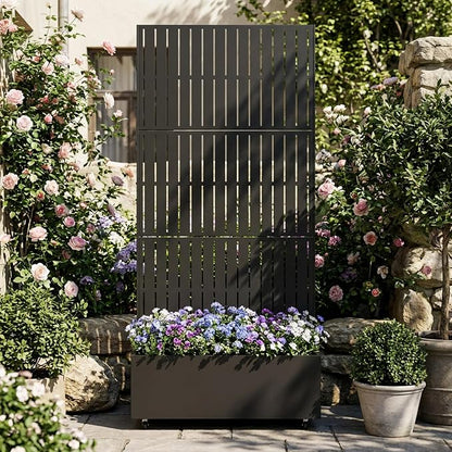 Black-fence