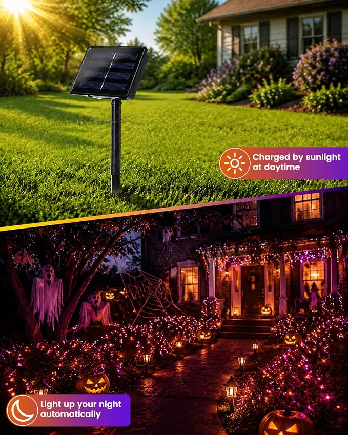 Purple and Orange