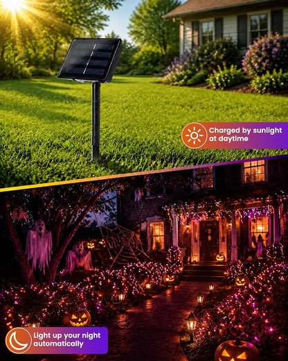 Purple and Orange
