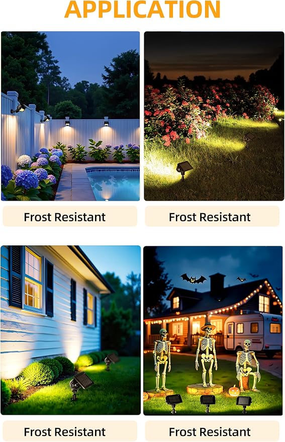Warm White - 4 Pack