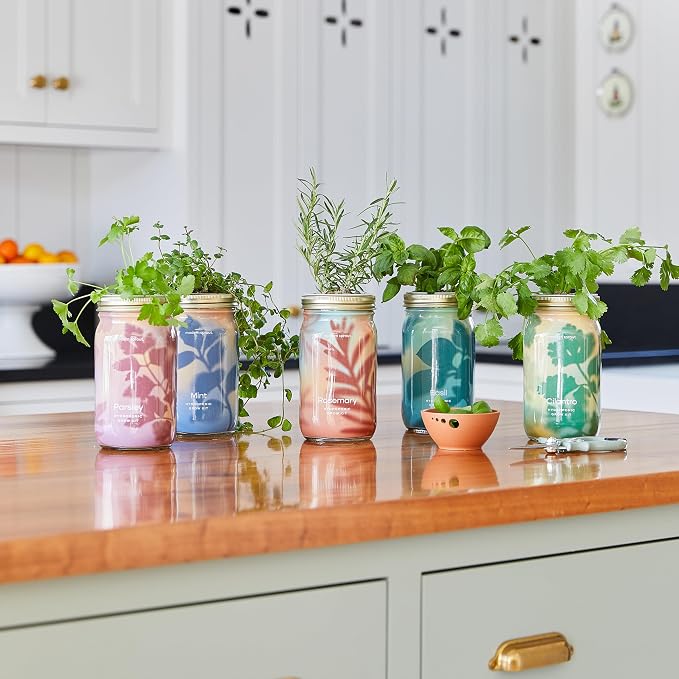Basil + Mint + Parsley + Cilantro + Rosemary+ Lavender