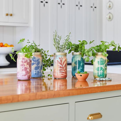 Basil + Mint + Parsley + Cilantro + Rosemary+ Lavender