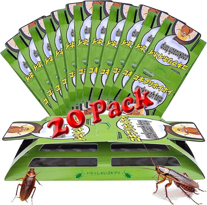 roachtrap-20 pack