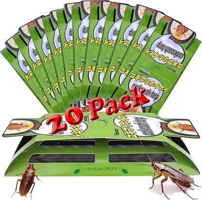 roachtrap-20 pack